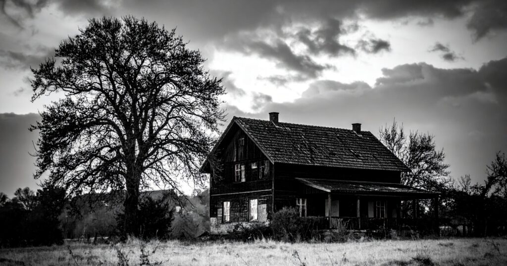 THE HAUNTED HOUSE